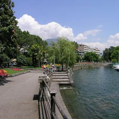 Camelia By Fewotessin *