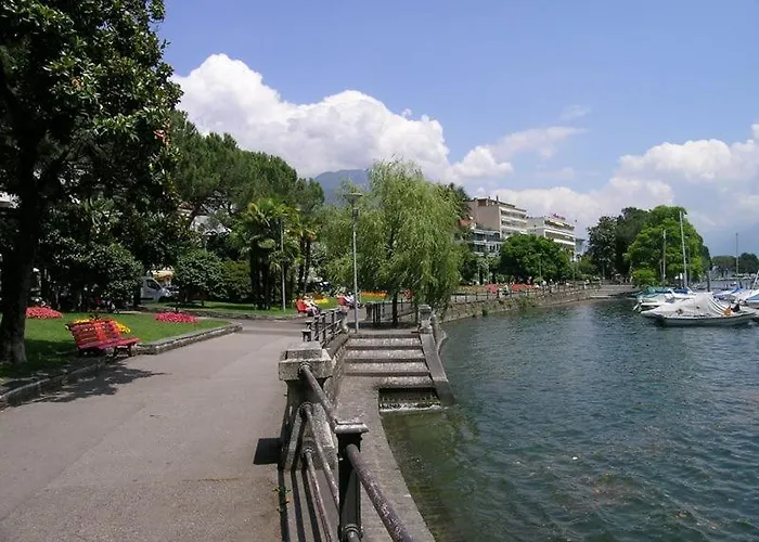 Camelia By Fewotessin *