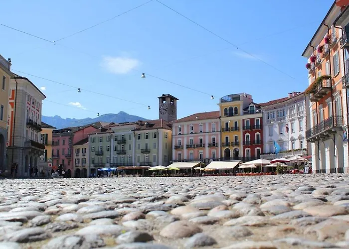 Camelia By Fewotessin